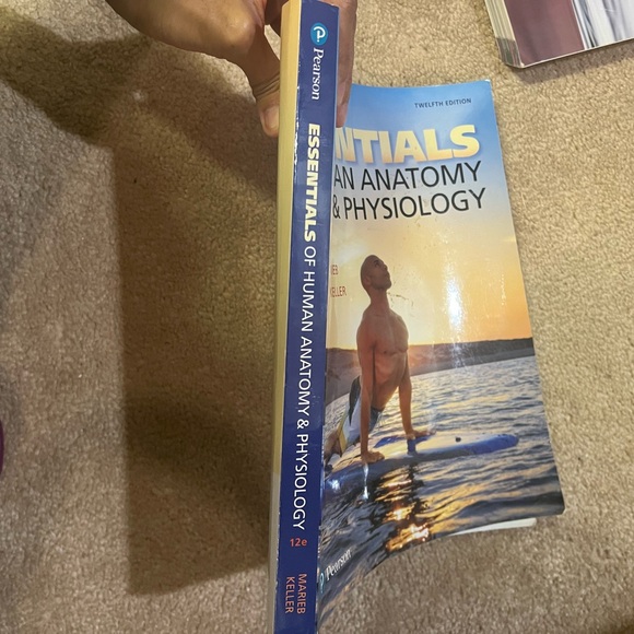 Random Books - Picture 8 of 12